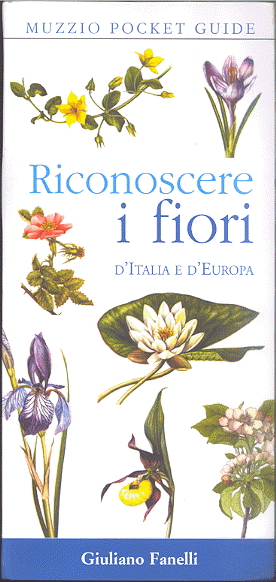  - FANELLI-G_fiori1